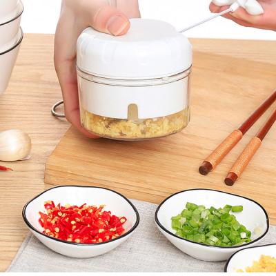 China Mini PC 170ml Whole Body Hand Chopper Chilli Plastic Waterproof Easy Viable Clean Onion Plastic Garlic for sale