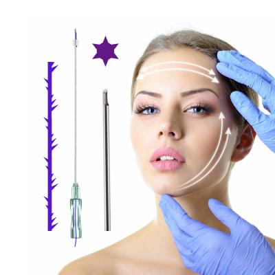 China More Popular 6d L Cheek Of Face.Breast Hilos Tensores 21g 100mm Needle Lifting Pdo Face Lift Wire for sale