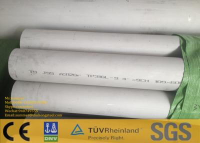 China Logo Printed 304 Stainless Steel Seamless Pipe / White SS Seamless Tube for sale