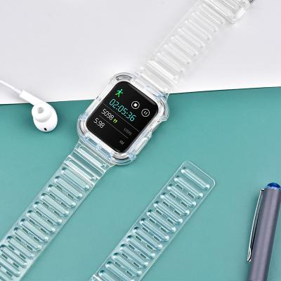 중국 Apple Watch 용 ODM 투명 TPU 고무 손목 시계 스트랩 판매용