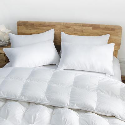 China 2021 New Wholesale Single Point Hotel Collection Luxury White Easy Clean Bed Pillows Anti-Static For Sleep for sale