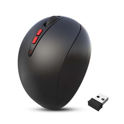 China 3D 2.4Ghz Laptop Computer Optical Wireless Mouse Ergonomic Vertical Mouse for sale