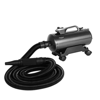 China Shernbao DHD-2400T Plastic Portable Industrial Hot Air Car Dryer for sale