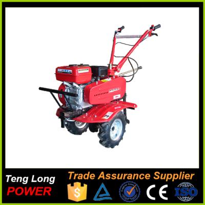 China Start Chinese Motocultivator Recoil Transmission Belt Agriculture Supplier 6.5hp Rotary Tiller for sale