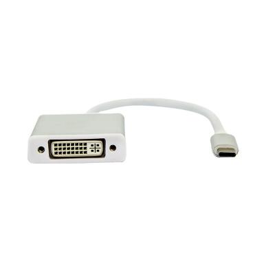 China Exquisite workmanship white color displayport mini COMPUTER male to female DVI adapter for sale