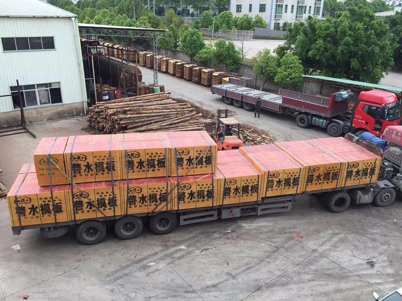 Verified China supplier - Fujian Shancheng Wood Technology Co., Ltd.