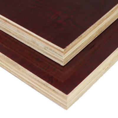 China Contemporary Red Pine Film Faced Plywood For Building Construction Plywood for sale