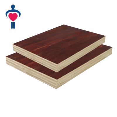 China Exterior pine face plywood and 100% eucalyptus plywood for construction for sale