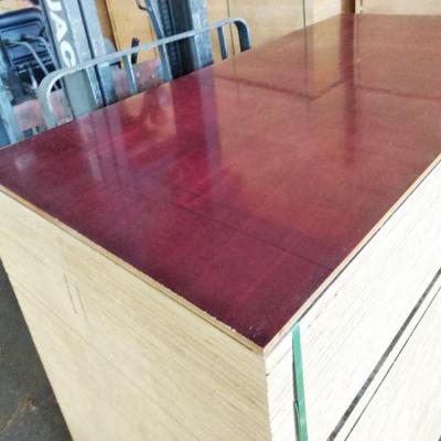 China Exterior Full 4X8 Piece Construction Veneer Eucalyptus Hardwood Plywood for sale