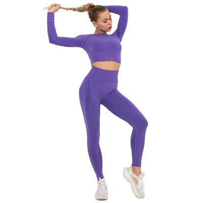 China Breathable Ladies Suit Sportswear Tight-fitting Bra Suit High-Waist Push-Ups Workout Clothes Long Sleeve Top Seamless Sportswear for sale