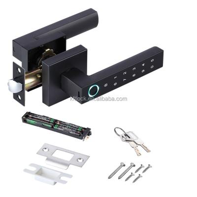 China Smart Entry Digital Password Electric Fingerprint Lever Door Handle Lock For Bedroom Entrance for sale