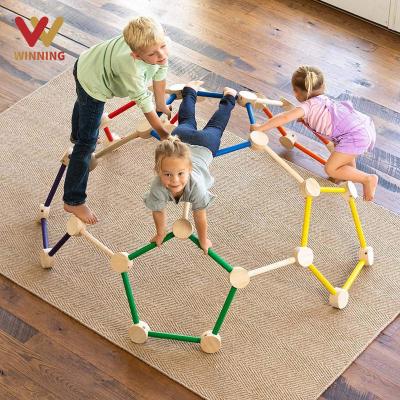 China Gymnasium Frame Non-Toxic Gain Wooden Climbing Frame Indoor Outdoor Playground Kids Dome Climber Climber Toddler Toys Climbing Dome for sale