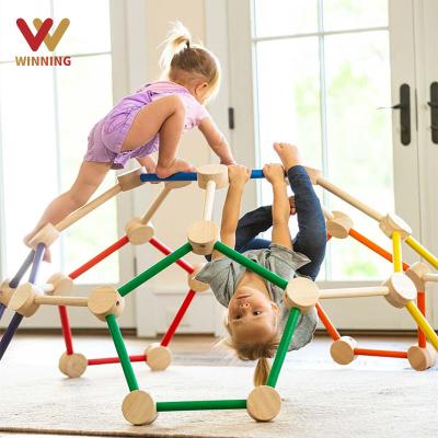 China Non-Toxic Gain Outdoor Indoor Kids Playground Climbing Frame Backyard Jungle Home Gym Equipments Space Dome Climber Sales for sale