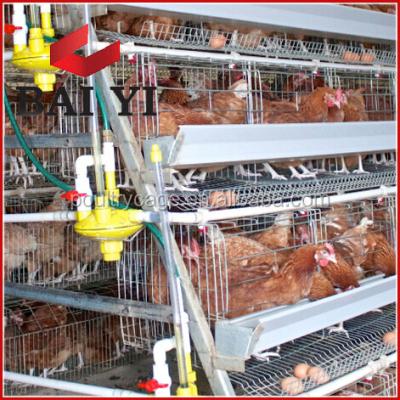 China Easily Clean Design A Type Layer Bird Cage With Water Pressure Regulate For Kenya Poultry Farm for sale