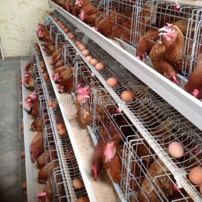 China Easily Clean A Type Chicken Cages For Sale With Trade Assurance for sale