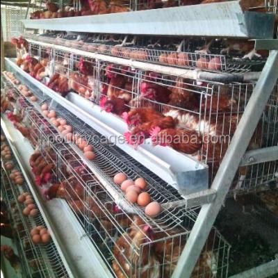 China Best Selling Easily Clean Chicken Egg Layer Cages in South Africa for sale