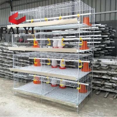 China Factory Direct Clean Easy One Day Broiler Chicks Raising Cages / Raising Broiler Chicken Cage For Sale (A type and H type Chick Cage for sale