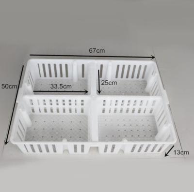 China New Durable Discount Chick Transport Box Cage For Hardware Sale for sale