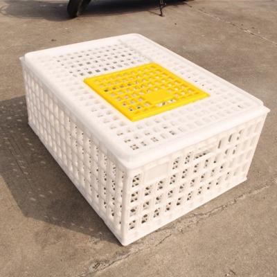 China Good quality durable plastic quail breeding cages for quail transport for sale