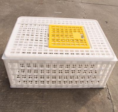 China Durable plastic quail transport cages used in quail farming for sale