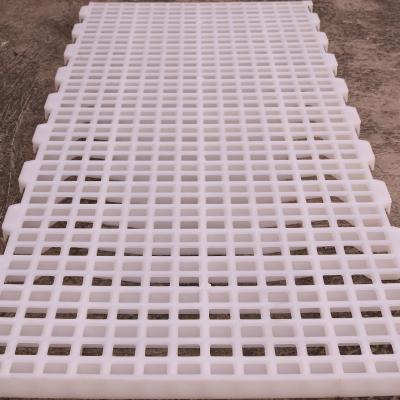 China Cultivate Plastic Chicken Cage Slat Floor Grid Mat for sale