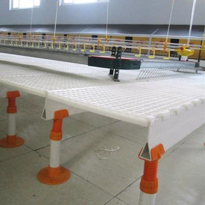 China Cultivate Large Shed Plastic Slat Flooring For Poultry Farm for sale