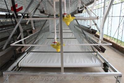 China Labor Saving Poultry Manure Conveyor Belt And Air Exhaust Blower For Poultry House for sale