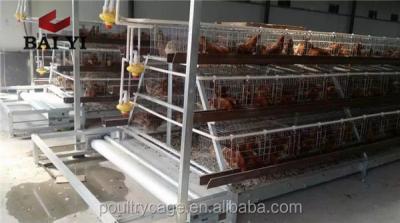 China Labor Saving Poultry Fertilizer Belt For Chicken / Fertilizer Conveyor Belt for sale