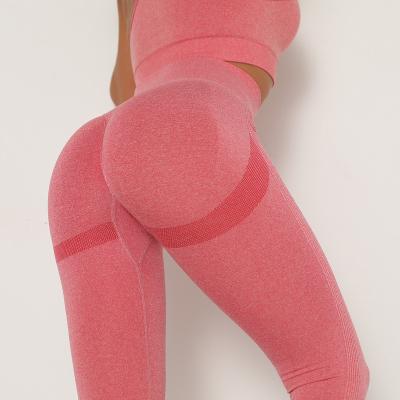 China Sexy Seamless Breathable Gym Yoga Fitness Sports Pants For Women Sexy Tights High Waist Knitted Ladies Yoga Leggings for sale