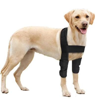 China Dog Viable Front Leg Upper Limb Protective Straps For Injuries Injuries Bone Broken Compression Heals Back Sprains Arthritis Ho for sale