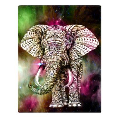 China Creative DIY Digital Animal Elephant Oil Painting Hand Painted Oil Painting Decoration Can Be Customized for sale