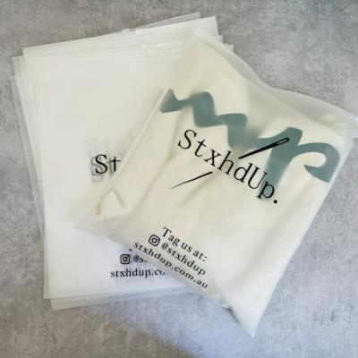 China Recyclable Custom Clear Matte Logo Frosted Zip Lock EVA Plastic Bikini Packaging Bags Plastic Zipper Bag With Logo for sale