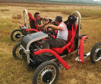 China Hot Sell Four Motors Four Wheels Spider Bike Off Road All Terrain Utility Vehicles Other for sale