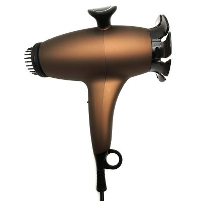 China Ionic Professional CE Certificates High Quality Electric Motor Household Hair Blow Dryer For Hairdresser for sale