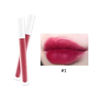 China High Quality Private Label Lipstick Velvet Liquid Matte Lip Gloss Waterproof for sale