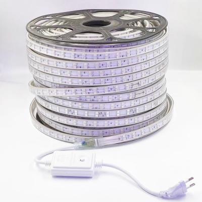 China Hotel LED AC 220v 96LED 100m RGB Color 5050 Chip 3 Waterproof Ip65 Strip Lights For Indoor Outdoor Decoration for sale