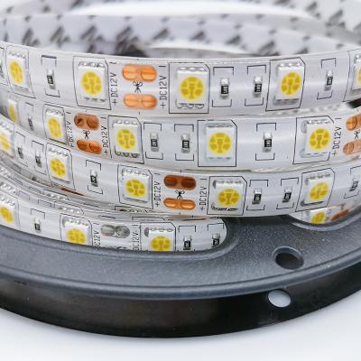 China Waterpoof IP65 12v 5050 16.4ft 3000K 4000K 6000K 8000K red pink green blue yelroom hotel LED lights smart strip lights for sale