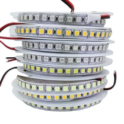 China Outoors Patio Pathway Landscape Garden Time Limited 5050 Display Index LED Strip 5050 Light 12V for sale