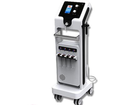 China 2020 Christmas Water Facial Dermabrasion Machine Facial Exfoliators Beauty Machine Spa Machine for sale