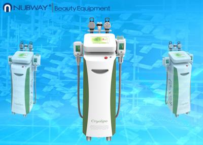 China Helada gordo de Cryolipolysis que adelgaza la máquina/la reducción de congelación gorda de las celulitis que adelgazan la máquina en venta