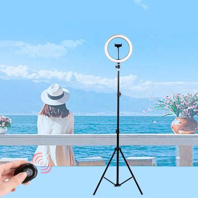 China Hot sale tiktok light photography lights selfie ring light adjustable brightness with tripod stand for sale