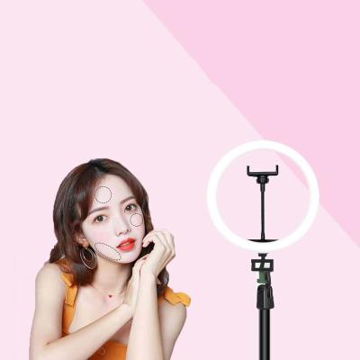 China Phone Clip Inside Lamp Led Ring Light Stand Rechargeable Led Ring Light With Phone Holder Tripod Stand for sale