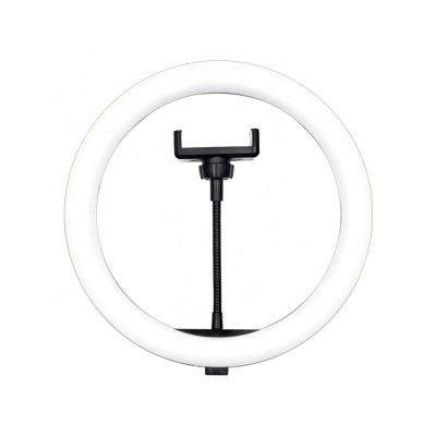 China Factory direct sale Foldable 10inch Ring Light With Tripod Stand Selfie Light for sale