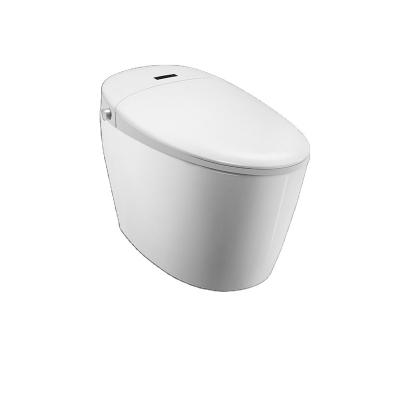 China Smart/Factory Price Intelligent/Automatic Chinese Instant Heating Seat Bidet Smart Toilet for sale