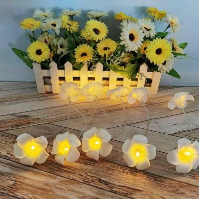 China Frangipani LED Frangipani Flower String Light Fairy Lights for Party Wedding Home Decoration for sale