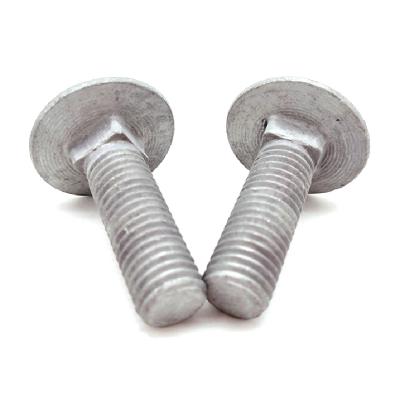 China High Quality 316 Stainless Steel Furniture Lifts Use Carriage Bolt for sale