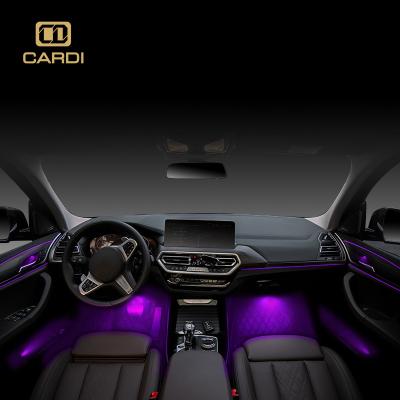 China Custom 2021 Model 3 Fiber Optic Car Decorative 