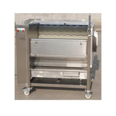 China 2020 high efficiency vegetable washing machine best selling vegetable and fruit peeling machine for sale vegetable washing and peeling machine for sale