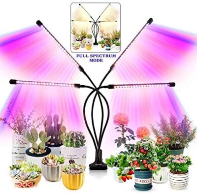 China Dimming+Color adjustment+Timming+RF Full Spectrum 80 LEDs Indoor Red Blue Timer Remote Control Lamps For Plants Grow Light for sale