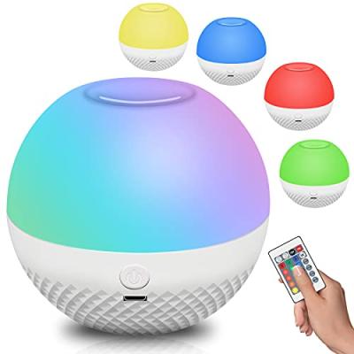 China Contemporary Soft Touch 16 Color Touch LED Night Light Kids Novelty Remote Control Night Lights Adjustable Brightness Touch LED Night Light for sale